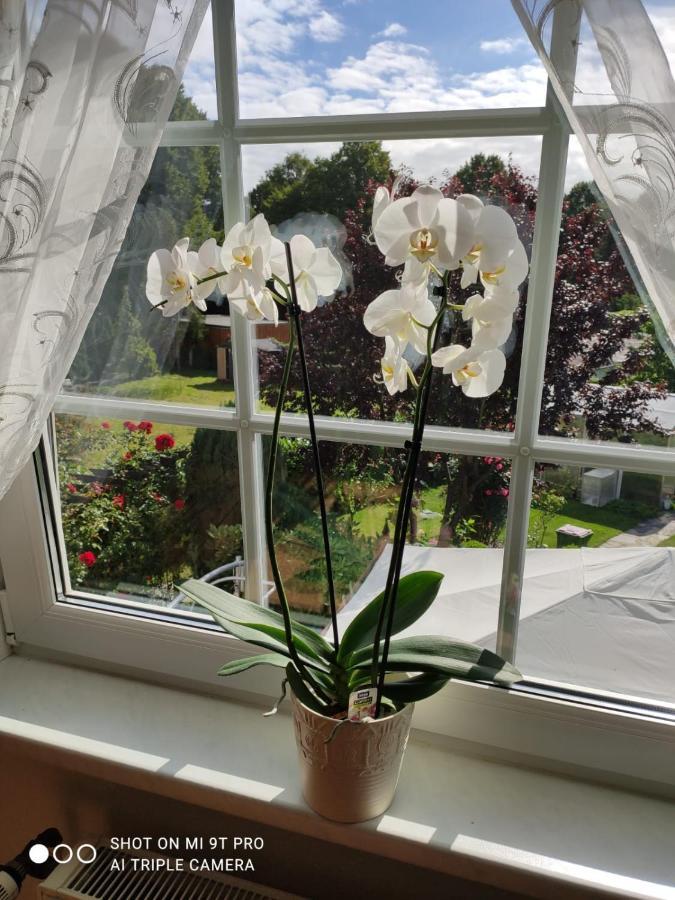 Blumen Apartment ฮัมบูร์ก ภายนอก รูปภาพ